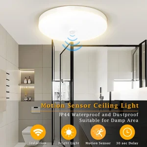 Motion Sensor Ceiling Light Modern Smart Sensor LED Lamp Human Infrared Sensing Lamp Indoor